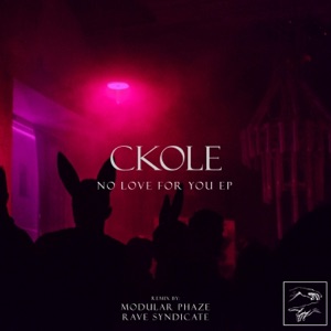 No Love For You - Single