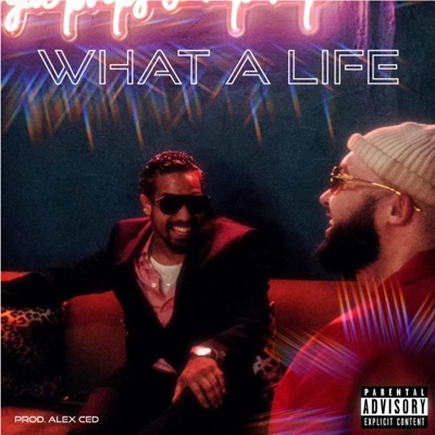 What a Life (feat. Top Ramiin) - Single