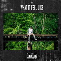 What It Feel Like - Single - SY