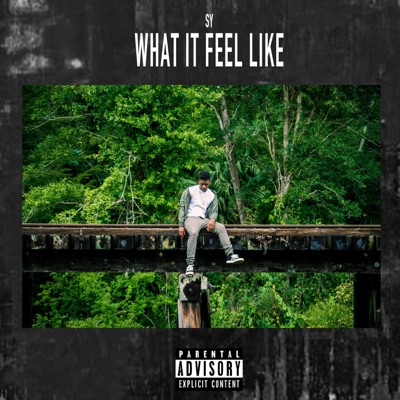 What It Feel Like - Single