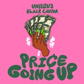 Price Going Up artwork