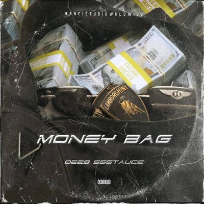 Money Bag - Single