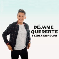 Déjame Quererte - Single - Feider De Aguas