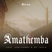 AmaThemba (feat. Cnethemba Gonelo & Dr Thulz) artwork