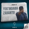 Indaba Zabantu - Single