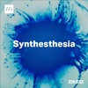 Synthesthesia