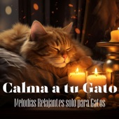 Calma a tu Gato - Melodías Relajantes solo para Gatos artwork