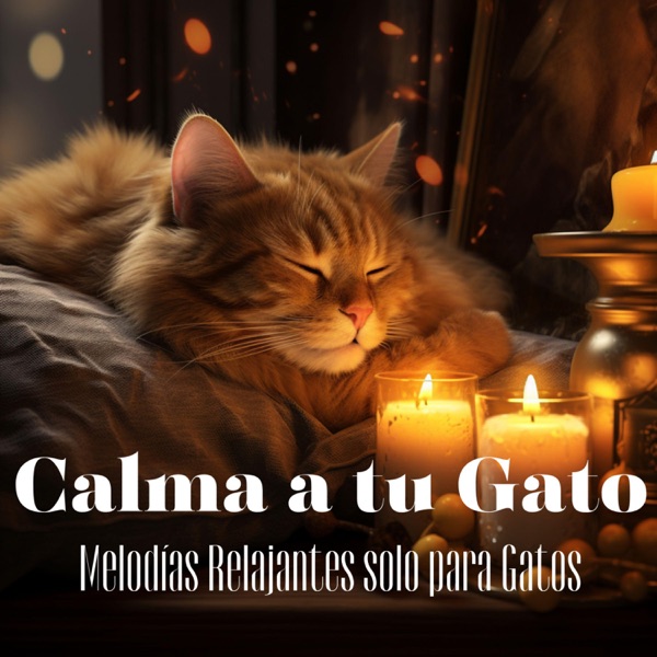 Calma a tu Gato - Melodías Relajantes solo para Gatos