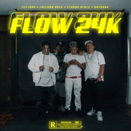 Flow 24k (feat. Freeman, Navarrro & Strong Black) 2letras