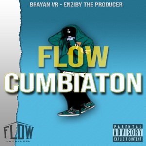 Flow Cumbiaton (feat. Brayan Vr)