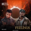 Feelings (feat. Mascara Vibez) - Single