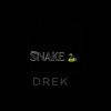 Snake - Single