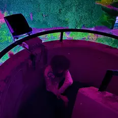 收听 Drydok、观看音乐视频、阅读小传、查看巡演日期等 ！