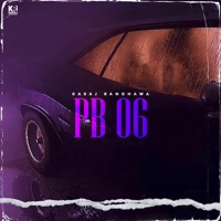 PB 06 - Single - Karaj Randhawa