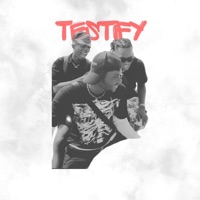 Testify (feat. Bobby Blane & Dammzy FP) [Radio Edit] - Single - Deej Panther