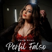 Perfil Falso artwork