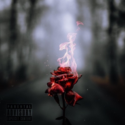 Obsessed - Single