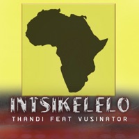 Intsikelelo (feat. Vusinator) - Single - Thandi