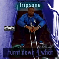 Turnt down 4 what - Single - Tripsane