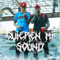 Quieren Mi Sound - Single - Jibaro 13 & Seal G