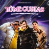 Tu Me Gustas - Single