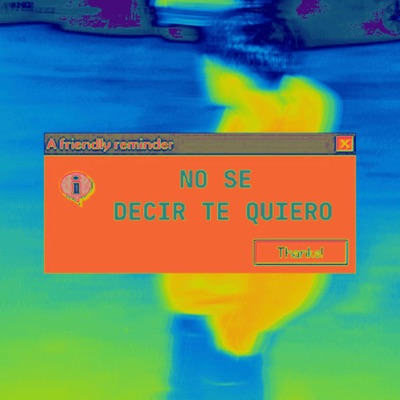 NO SE DECIR TE QUIERO - Single