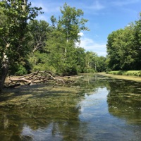 I'm Willing - Single - Jamie Murrell