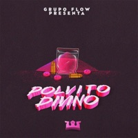 Polvito divino - Single - Grupo Flow