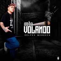 Ando Volando - Single - Delpek Mendoza