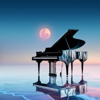 Reflections - Dave Hewson