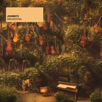 Orchestra - Single - JohnnyV
