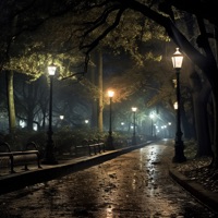 Reverie - Single - VERMONT