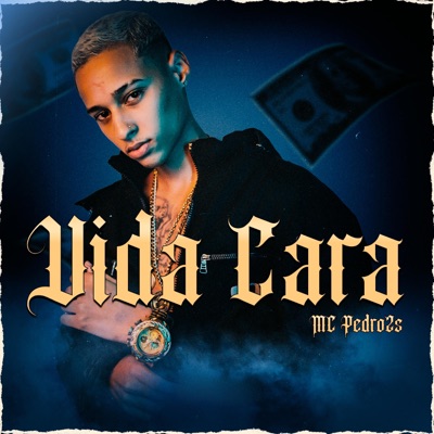 Vida Cara - Single