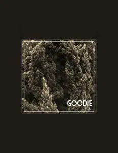 聆聽 Kibi、觀看音樂影片、閱讀小傳、查看巡演日期等！