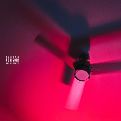 4Lyfe? - Single