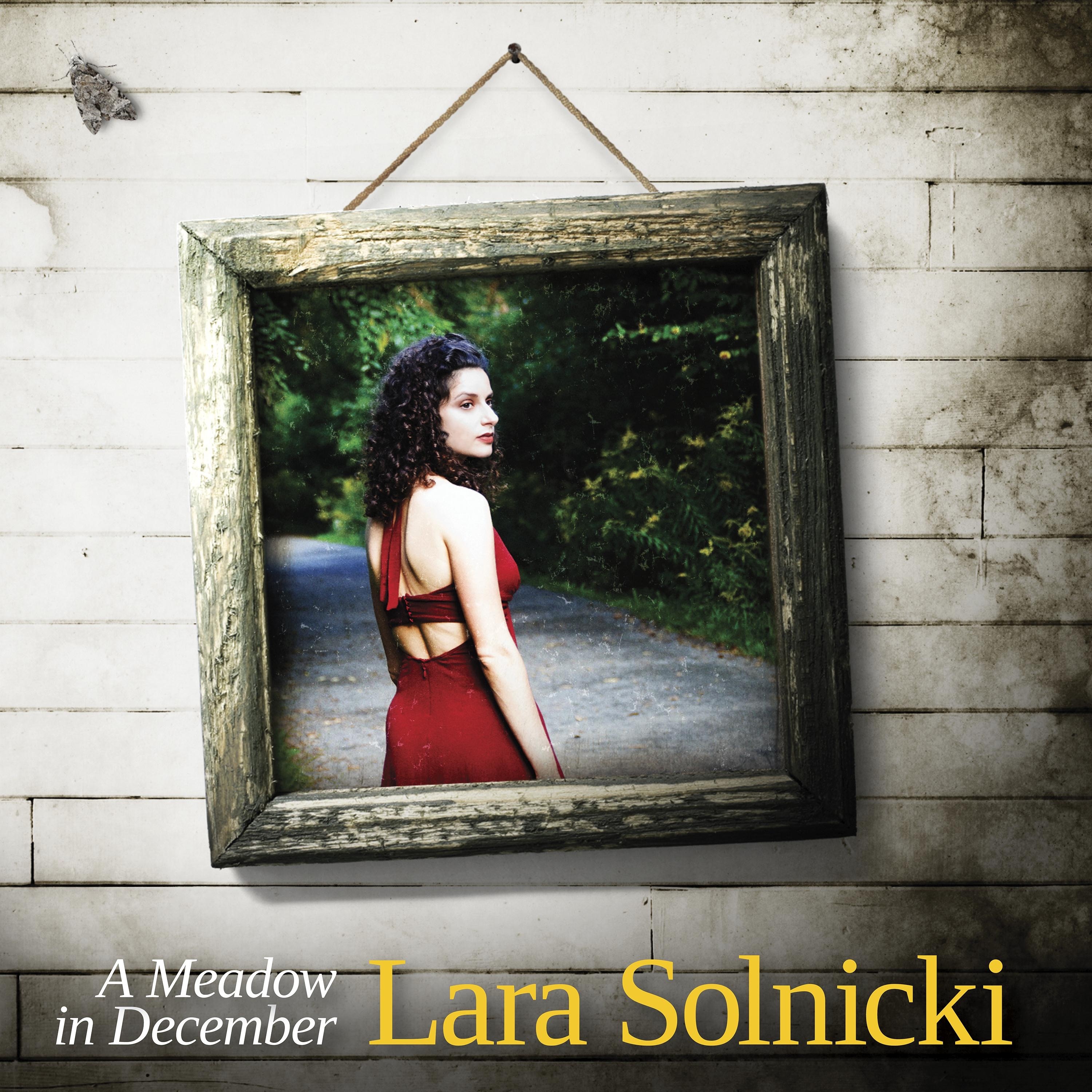 A Meadow in December