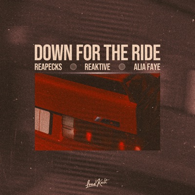 Down For The Ride - Single