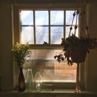 Steel Woolgathering - Single - Ethan O'neal