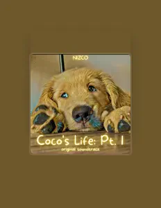 NIZCOを聴いたり、ミュージックビデオを鑑賞したり、経歴やツアー日程などを確認したりしましょう！