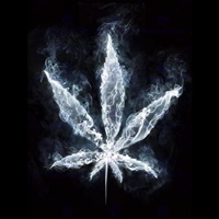 Medicine(Questions) - Single - Broke Dusty