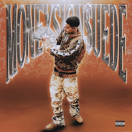 I’m Back MoneySign Suede