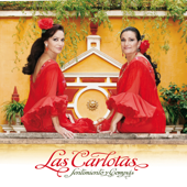 A Tu Madre - Las Carlotas