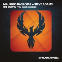 The Sound (You Can't Describe) - Single - Maurizio Basilotta & Steve Adams