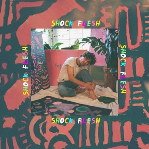 Shock Flesh - Single