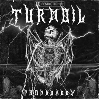 Turmoil - Single - Phonk Daddy