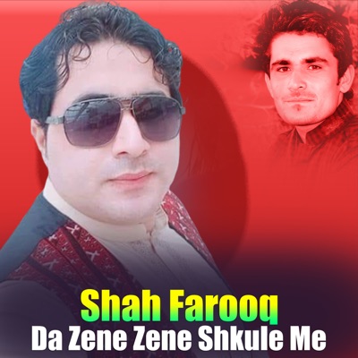 Da Zene Zene Shkule Me - Single
