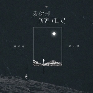 爱你却伤害了自己 - Single