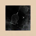 Strings & Heart