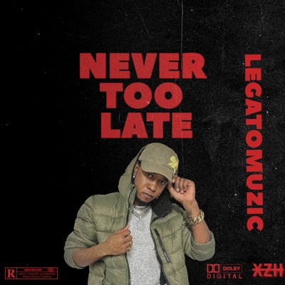 Never Too Late - Single