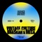 Vintage Culture/Bhaskar/Meca - Tina feat. The Vic